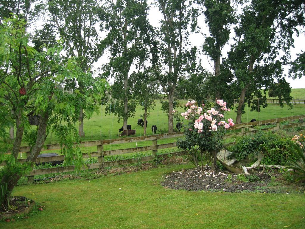 Miranda Orchard Cottage المظهر الخارجي الصورة