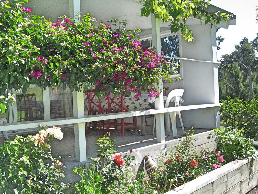 Miranda Orchard Cottage المظهر الخارجي الصورة