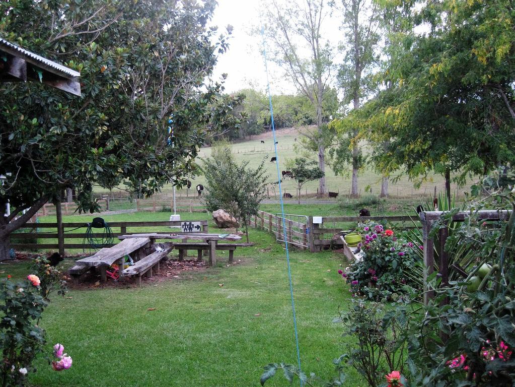 Miranda Orchard Cottage المظهر الخارجي الصورة