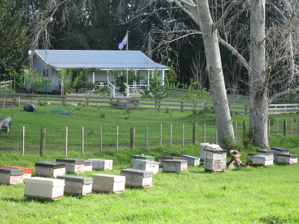 Miranda Orchard Cottage المظهر الخارجي الصورة
